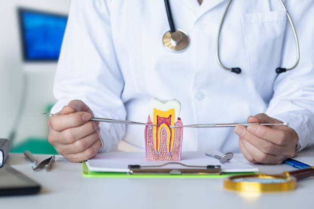 Best Emergency Dental Care for Abscessed Tooth in Three Lakes, FL